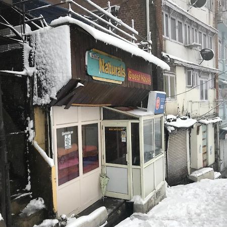 Exotic Naturals Guest House Shimla Esterno foto