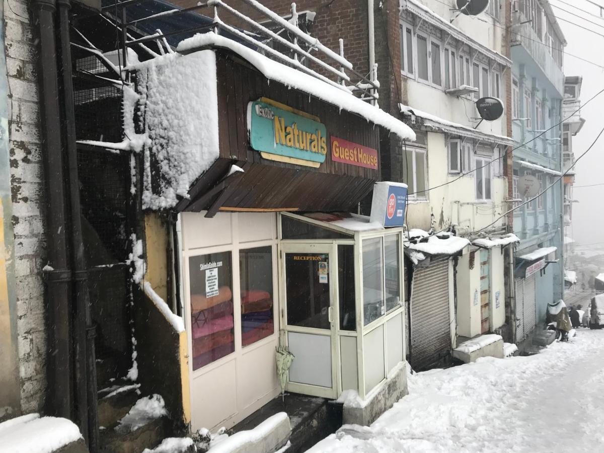 Exotic Naturals Guest House Shimla Esterno foto